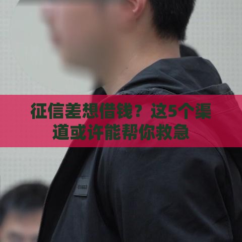 征信差想借钱？这5个渠道或许能帮你救急