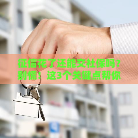 征信花了还能交社保吗？别慌！这3个关键点帮你理清关系