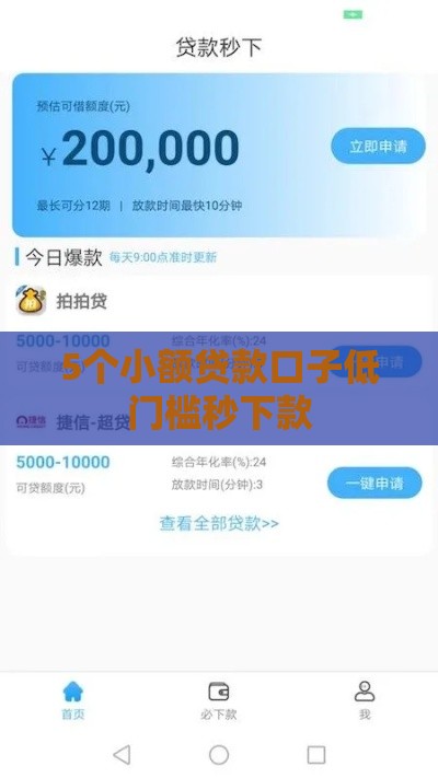 5个小额贷款口子低门槛秒下款