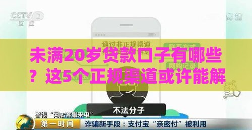 未满20岁贷款口子有哪些？这5个正规渠道或许能解燃眉之急！
