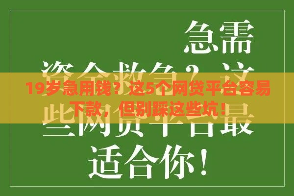 19岁急用钱？这5个网贷平台容易下款，但别踩这些坑！