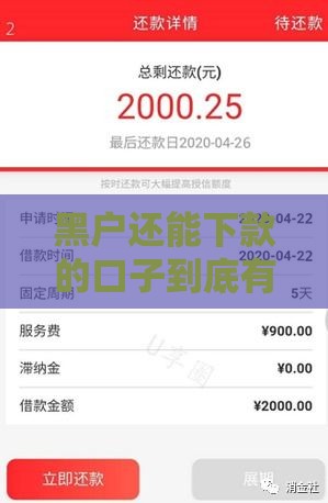 黑户还能下款的口子到底有哪些？