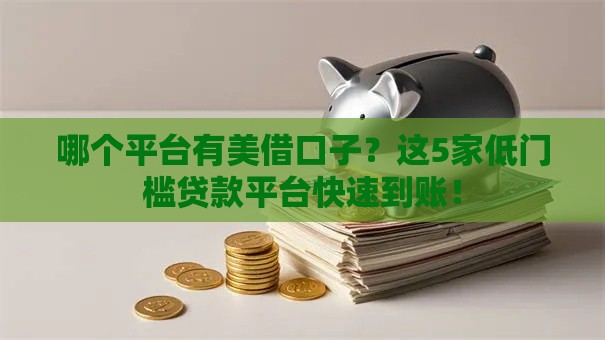 哪个平台有美借口子？这5家低门槛贷款平台快速到账！