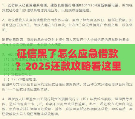 征信黑了怎么应急借款？2025还款攻略看这里