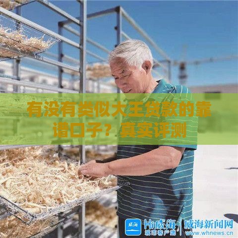 有没有类似大王贷款的靠谱口子?真实评测 有没有类似大王贷款的靠谱口子?真实评测