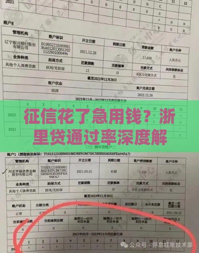 征信花了急用钱？浙里贷通过率深度解析