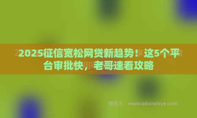 2025征信宽松网贷新趋势！这5个平台审批快，老哥速看攻略