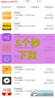 5个秒下款口子实测分享