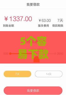 5个容易下款的口子 审批快门槛低
