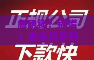 急用钱？别慌！金来购系列口子最新盘点看这里