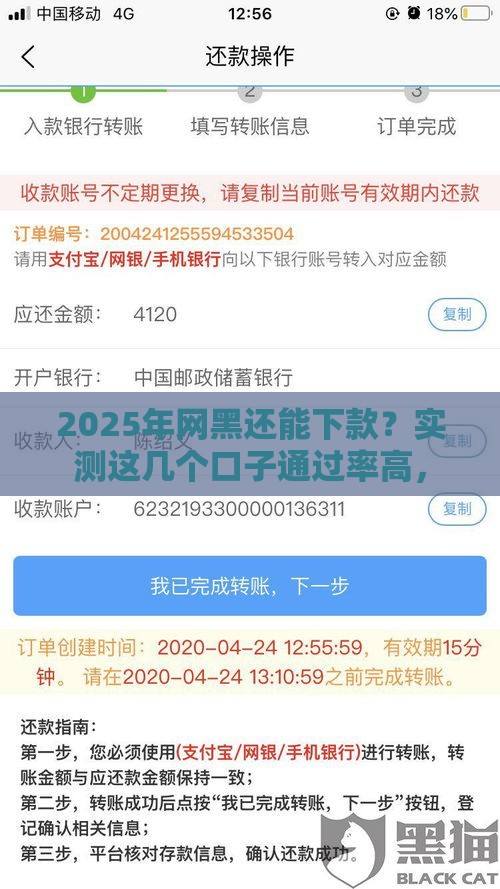 2025年网黑还能下款？实测这几个口子通过率高，