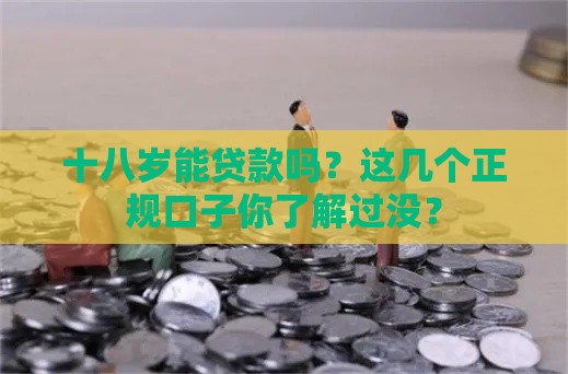 十八岁能贷款吗？这几个正规口子你了解过没？
