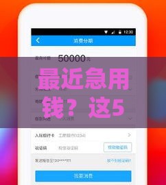 最近急用钱？这5个可下款口子审核快、到账稳！