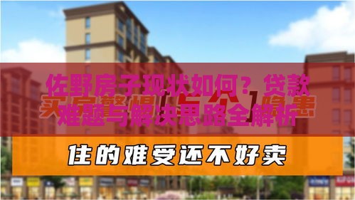 佐野房子现状如何？贷款难题与解决思路全解析