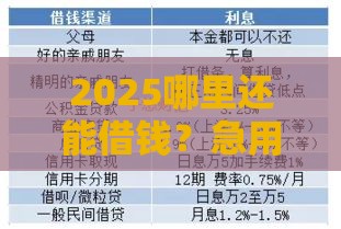 2025哪里还能借钱？急用钱别慌！最新正规放款渠道盘点