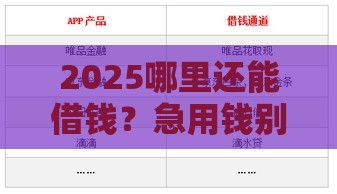 2025哪里还能借钱？急用钱别慌！最新正规放款渠道盘点