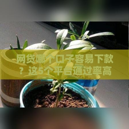网贷哪个口子容易下款？这5个平台通过率高又靠谱