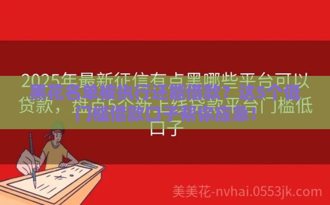 黑花名单被执行还能借款？这5个低门槛借款口子帮你应急！
