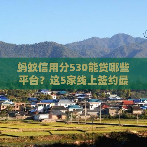 蚂蚁信用分530能贷哪些平台？这5家线上签约最快！