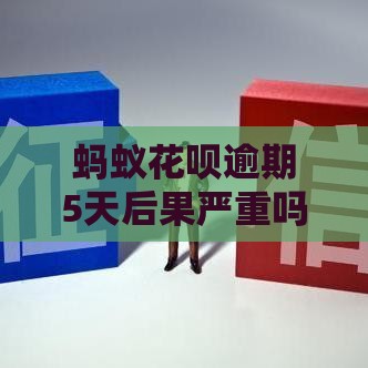 蚂蚁花呗逾期5天后果严重吗？3招补救攻略快收好！