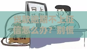 贷款逾期不上征信怎么办？别慌！3招教你化解危机