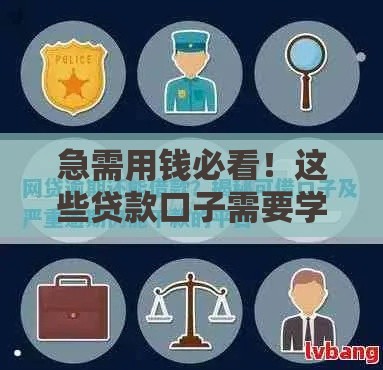 急需用钱必看！这些贷款口子需要学信网吗？避开这些坑才能快速下款