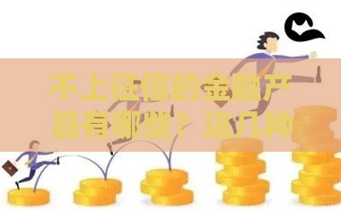 不上征信的金融产品有哪些？这几种渠道别错过