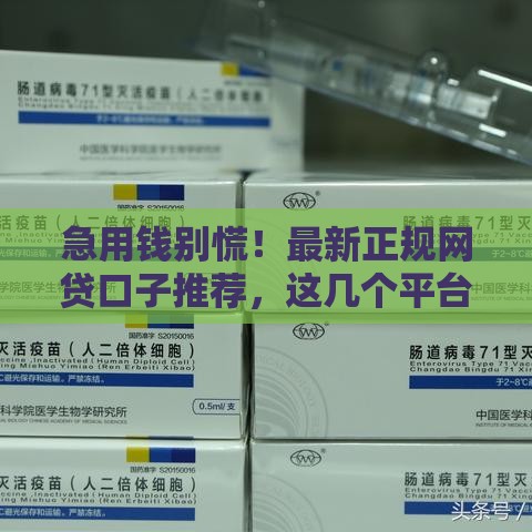 急用钱别慌！最新正规网贷口子推荐，这几个平台靠谱又安全