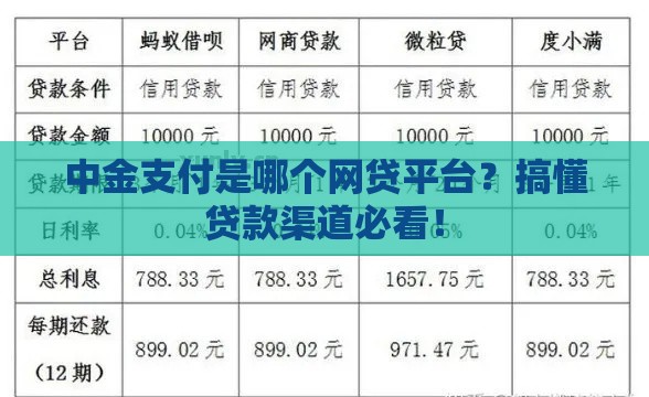 中金支付是哪个网贷平台？搞懂贷款渠道必看！