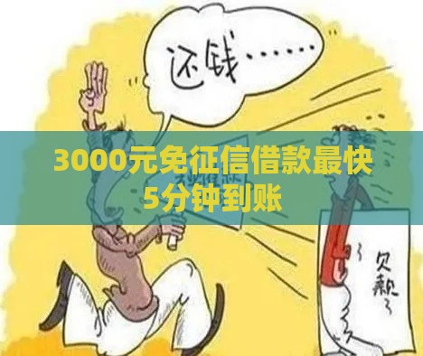 3000元免征信借款最快5分钟到账