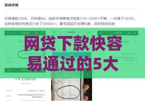 网贷下款快容易通过的5大平台推荐，选对方法不踩坑