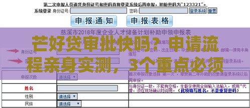芒好贷审批快吗？申请流程亲身实测，3个重点必须知道！