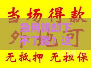 急用钱却下不了款？这些口子要避开