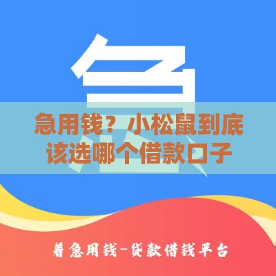 急用钱？小松鼠到底该选哪个借款口子