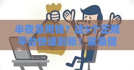 半夜急用钱？这5个正规平台快速到账！紧急借款必看攻略