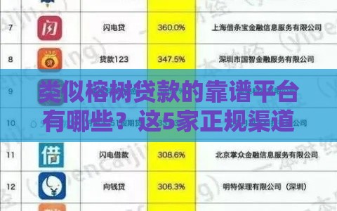 类似榕树贷款的靠谱平台有哪些？这5家正规渠道值得选