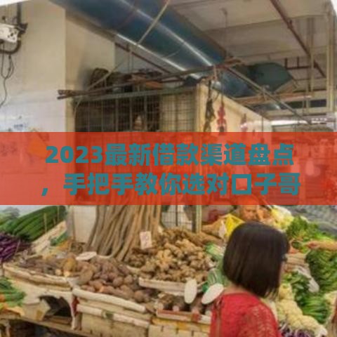 2023最新借款渠道盘点，手把手教你选对口子哥贷款