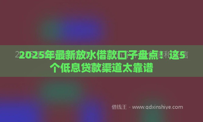 2025年最新放水借款口子盘点！这5个低息贷款渠道太靠谱