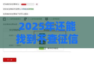 2025年还能找到不查征信的贷款吗？这些方法或许能帮你！