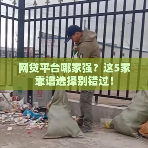 网贷平台哪家强？这5家靠谱选择别错过！