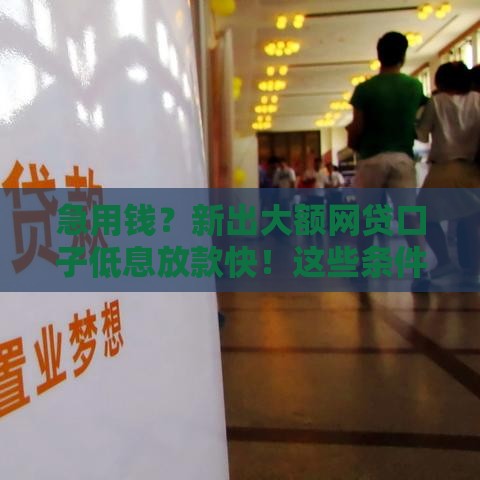 急用钱？新出大额网贷口子低息放款快！这些条件你符合吗？