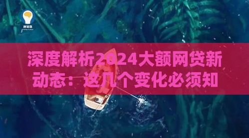 深度解析2024大额网贷新动态：这几个变化必须知道！