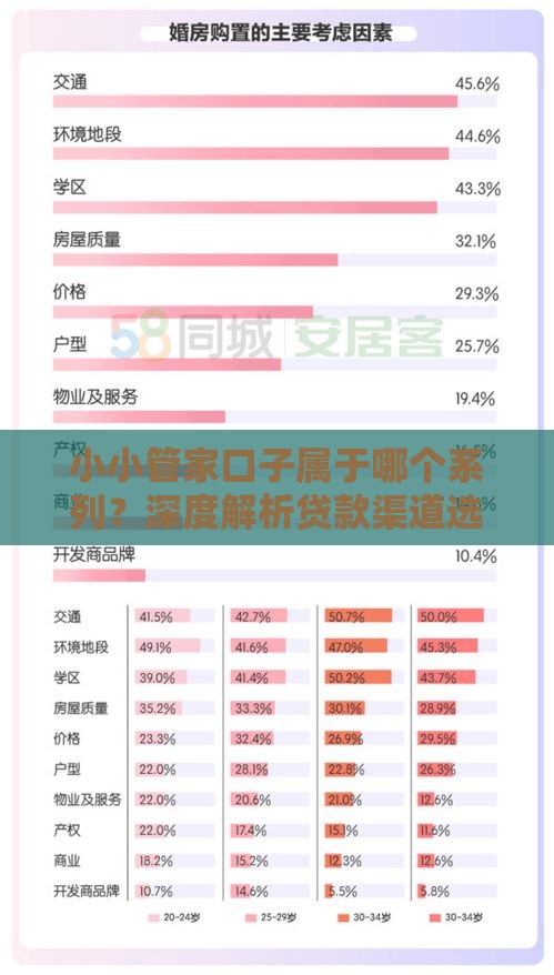 小小管家口子属于哪个系列？深度解析贷款渠道选择技巧