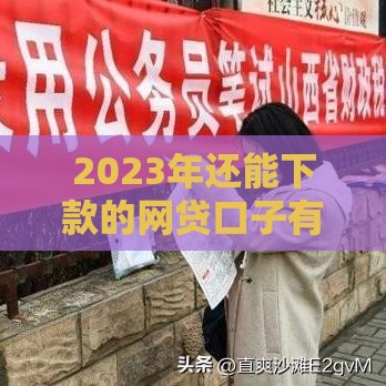 2023年还能下款的网贷口子有哪些？这几个平台亲测有效