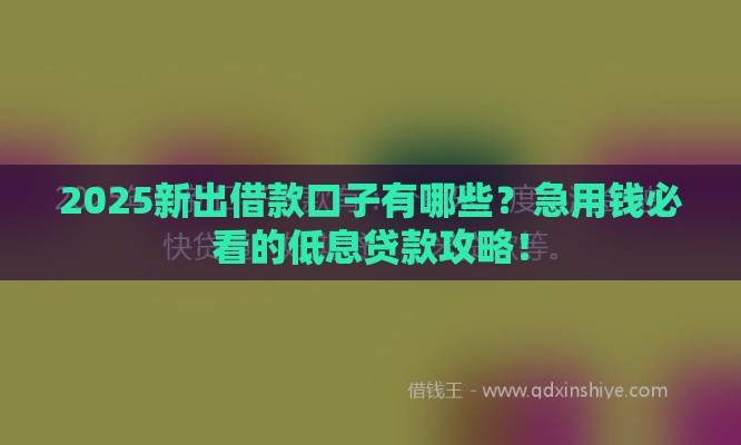 2025新出借款口子有哪些？急用钱必看的低息贷款攻略！