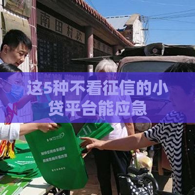 这5种不看征信的小贷平台能应急