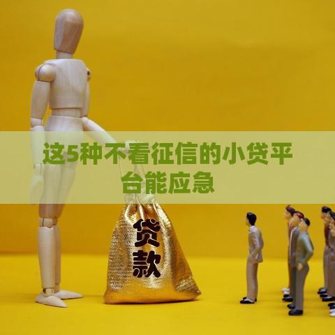 这5种不看征信的小贷平台能应急