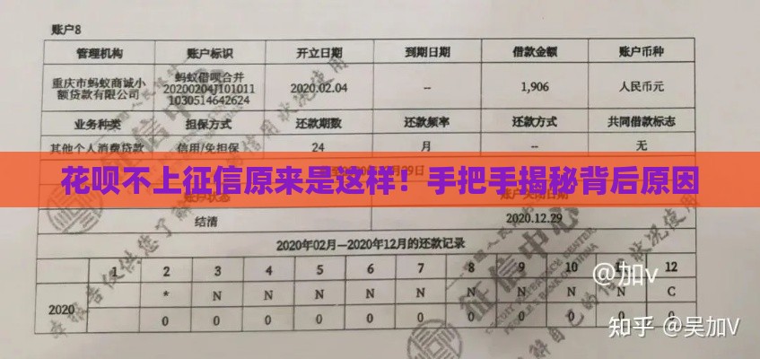 花呗不上征信原来是这样！手把手揭秘背后原因