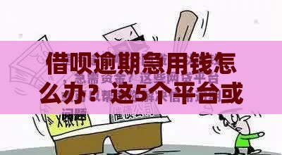 借呗逾期急用钱怎么办？这5个平台或许能救急！