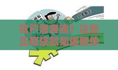 花户急用钱？这些正规贷款渠道助你解决难题